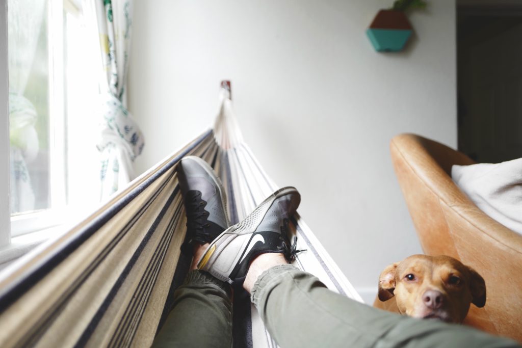 Prepare for some downtime! Caring for your mental health on a film set means creating a routine outside of work too. Pictured: a man lays in an indoor hammock with dog nearby.